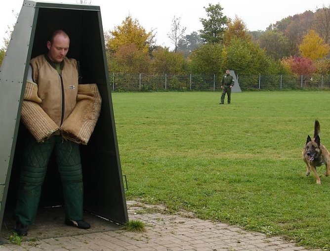Für tauglich befunden (Foto: PD NDH) Für tauglich befunden (Foto: PD NDH)