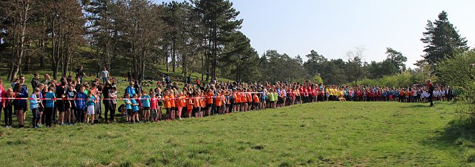 Tolles Kreisfinale beim Crosslauf (Foto: Karl-Heinz Herrmann) Tolles Kreisfinale beim Crosslauf (Foto: Karl-Heinz Herrmann)