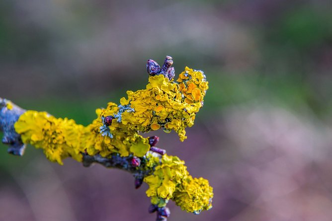 Wetterbild (Foto: Gernot Thelemann)
