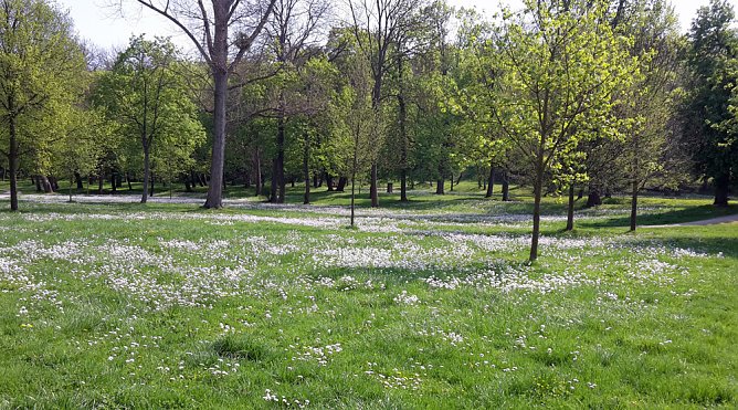 Lob an Bauhof/G&auml;rtnerei und mehr (Foto: Karl-Heinz Herrmann)