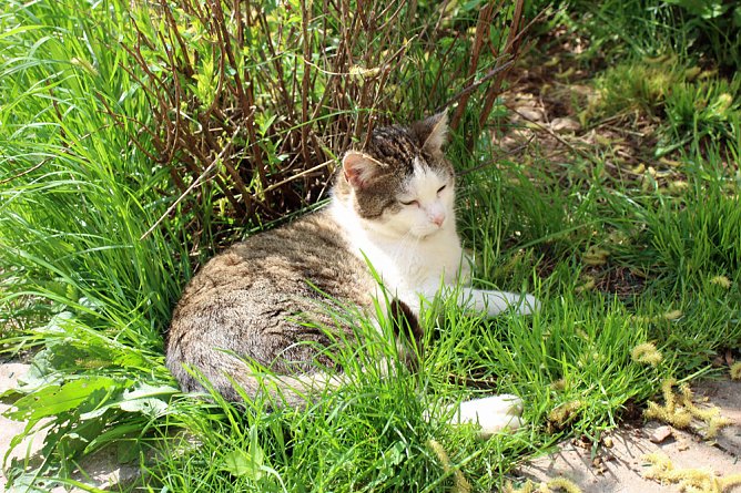 F&ouml;rderantrag gestellt (Foto: Karl-Heinz Herrmann)