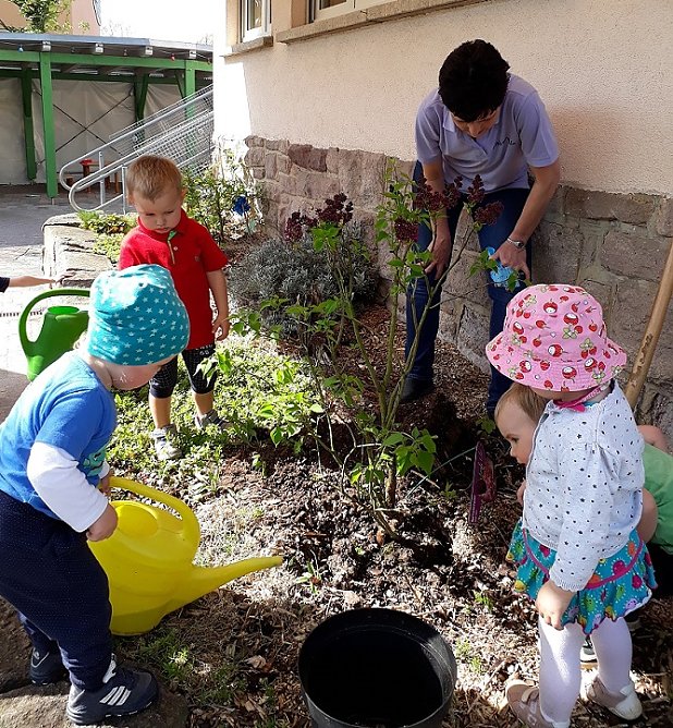 Rekordbeteiligung zum Fr&uuml;hjahrsputz 2018 (Foto: Peter M&ouml;bius)
