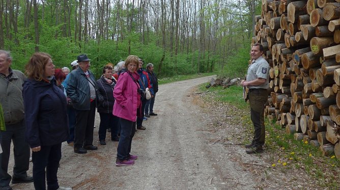In der Hainleite unterwegs (Foto: Heidi Meister)