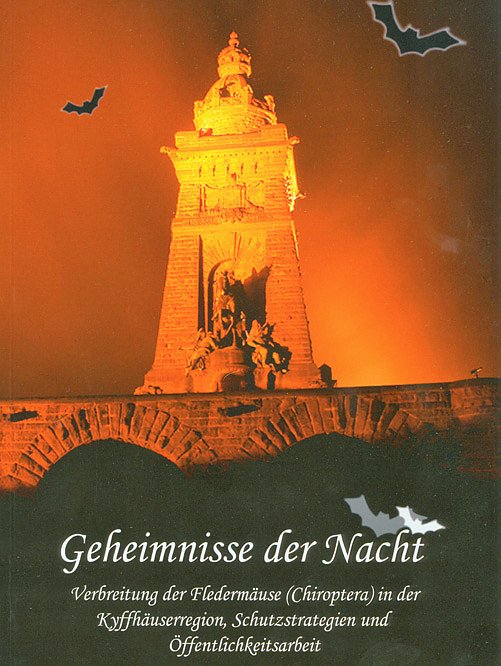 Was gibt es Neues von den Flederm&auml;usen? (Foto: Regionalmuseum Bad Frankenhausen)
