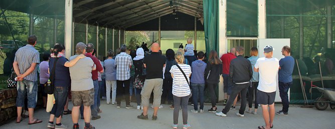 Komm zum Pferd... (Foto: Karl-Heinz Herrmann)