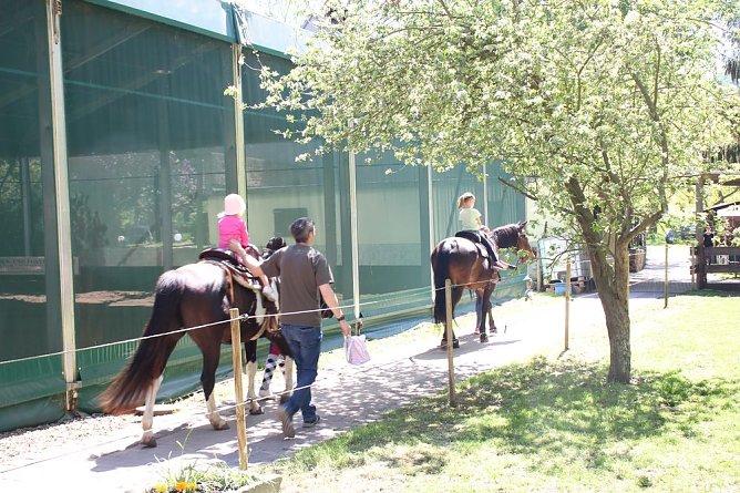 Komm zum Pferd... (Foto: Karl-Heinz Herrmann)
