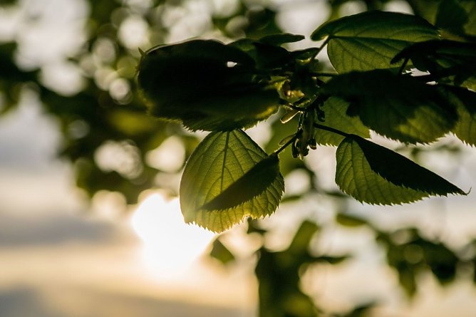 Wetterbild (Foto: Gernot Thelemann)
