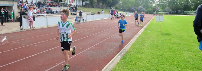 Regelsch&uuml;ler liefen 688 Kilometer f&uuml;r ihre Schule (Foto: Uwe R&uuml;diger)