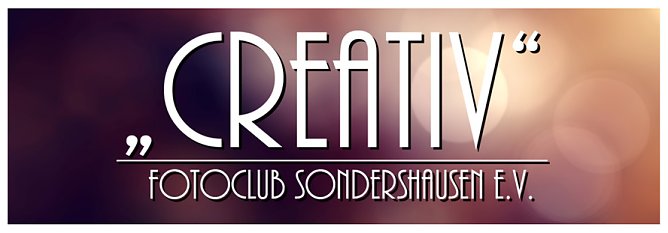 Fotos gegen Spende (Foto: Holger Schurack)