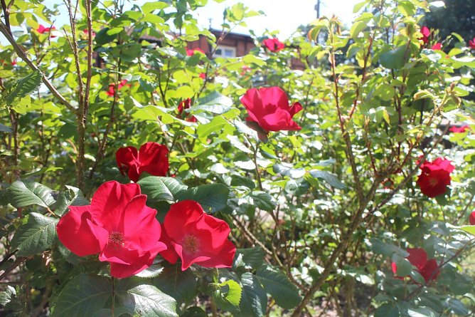 Wetterbild (Foto: Angelo Glashagel) Wetterbild (Foto: Angelo Glashagel)