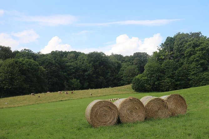 Wetterbild (Foto: Angelo Glashagel) Wetterbild (Foto: Angelo Glashagel)