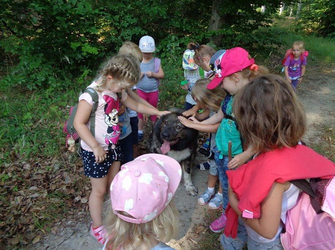 Waldtag in der Kita in Gro&szlig;furra (Foto: Kita Arche Noah Gro&szlig;furra)