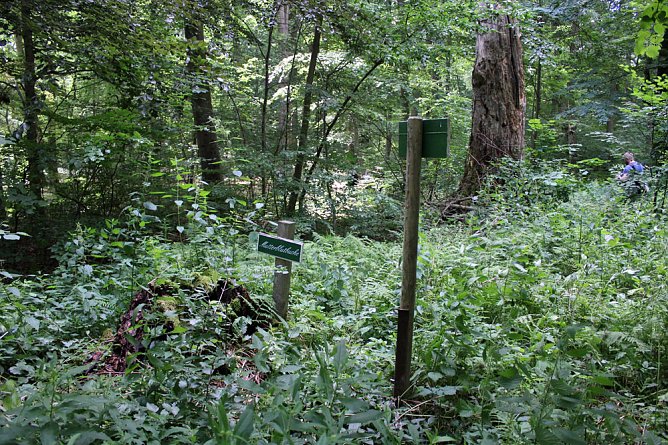 Einweihungsfeier am Standort der Mutterblutbuche (Foto: Karl-Heinz Herrmann)