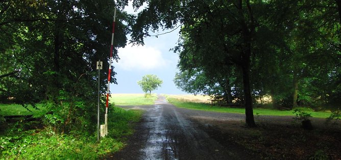 Fast geschafft (Foto: B. Schwarzberg)