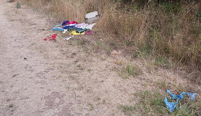 Schlosspark zerzaust (Foto: Karl-Heinz Herrmann)