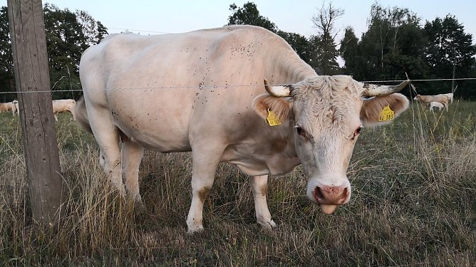 Wetterbild (Foto: nnz)