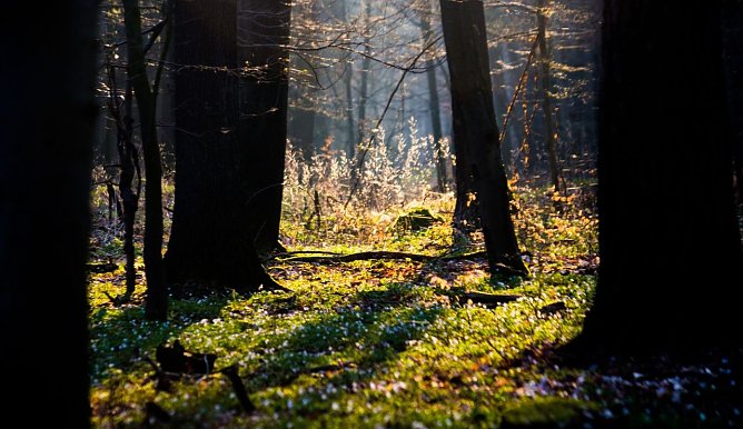 Wetterbild (Foto: Gernot Thelemann)