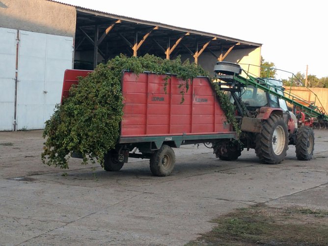 Interessante Reise zur Grundlage unseres Bieres (Foto: Stefan Schard)