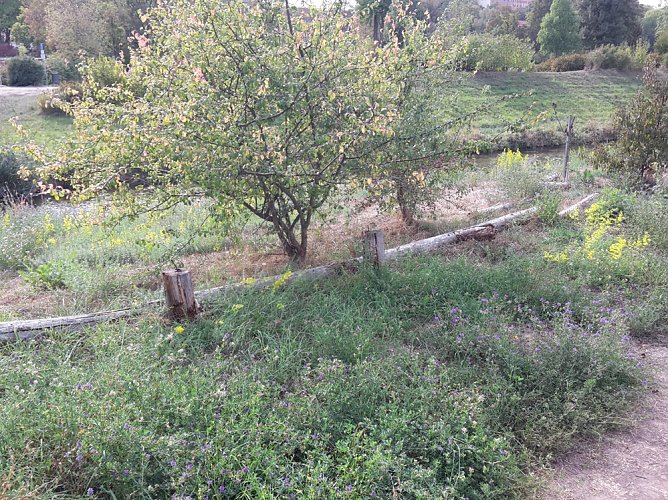 Von &Auml;pfeln und Pferde&auml;pfeln (Foto: Karl-Heinz Herrmann)