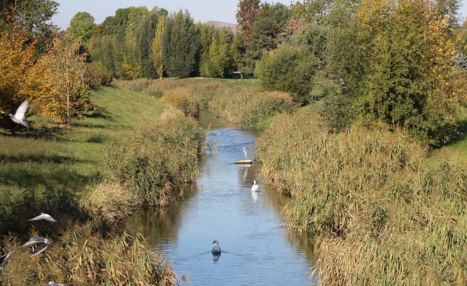 Wipper (Foto: Karl-Heinz Herrmann)