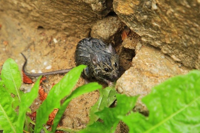 Eine Verletzte bei Wohnhausbrand (Update) (Foto: Silvio Dietzel)