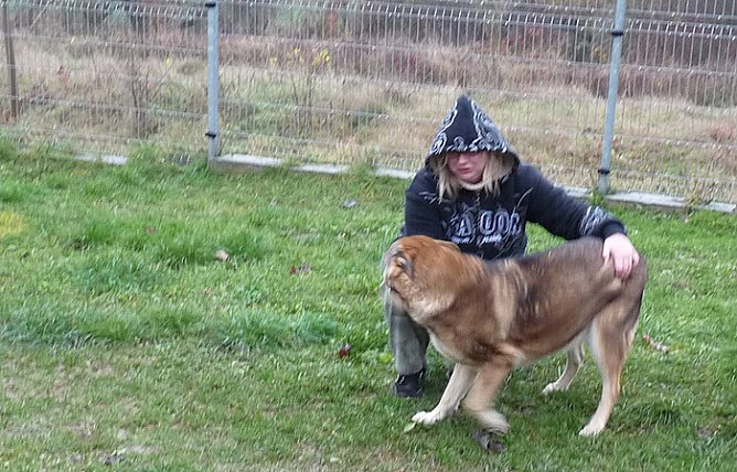 Asta (Foto: Karl-Heinz Herrmann)