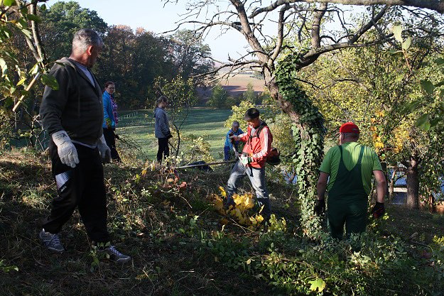 Gute Beteiligung bei Aktionstag (Foto: Sabine Pusch)