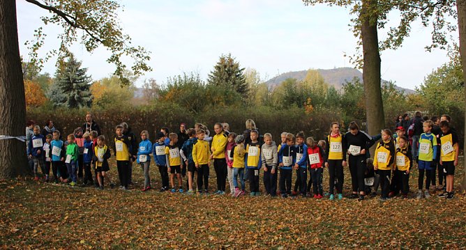 Stadtparklauf in Sondershausen (2) (Foto: Karl-Heinz Herrmann) Stadtparklauf in Sondershausen (2) (Foto: Karl-Heinz Herrmann)