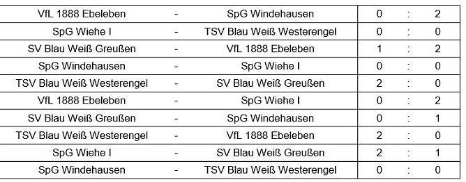 Hallenkreismeisterschaft D-Junioren (Foto: NTKFA)