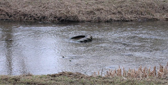 Das Bettlaken fehlt noch (Foto: Karl-Heinz Herrmann)