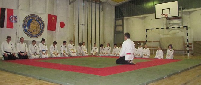 Neue Kampfkunstmatten (Foto: Werner Bank)