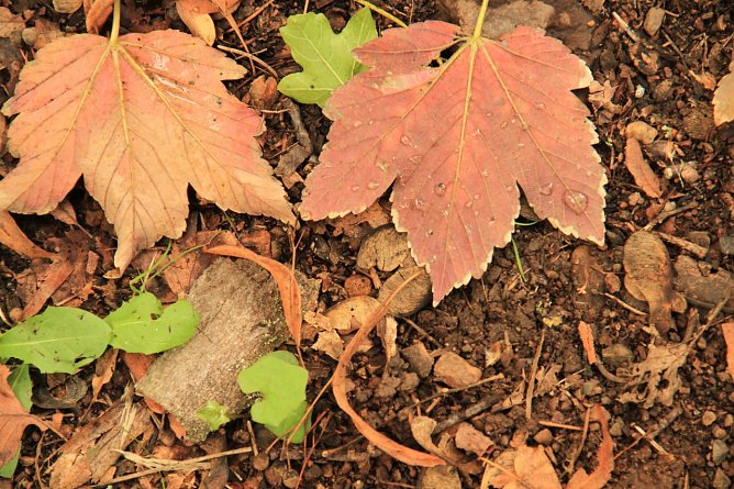 Wetterbild (Foto: Angelo Glashagel) Wetterbild (Foto: Angelo Glashagel)