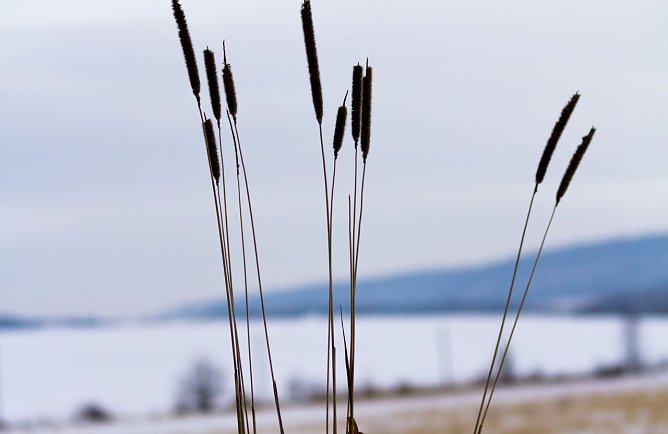 Winter ad&egrave;? (Foto: Gernot Thelemann)