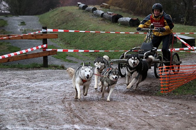 Hundeschlittenrennen in Pullman City (Foto: Peter Blei)