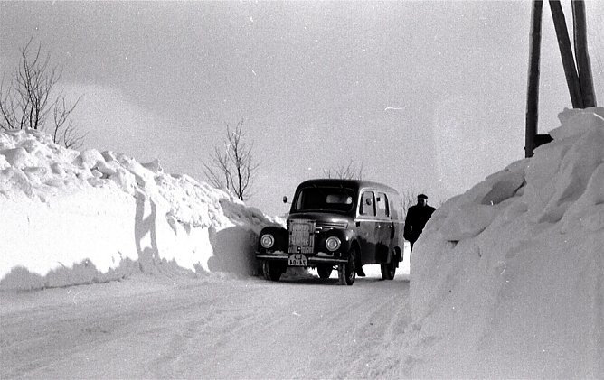 Schnee von gestern (Foto: Günter Herting) Schnee von gestern (Foto: Günter Herting)
