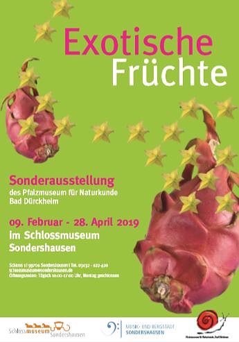 Sonderausstellung Exotische Fr&uuml;chte (Foto: Stadt Sondershausen)