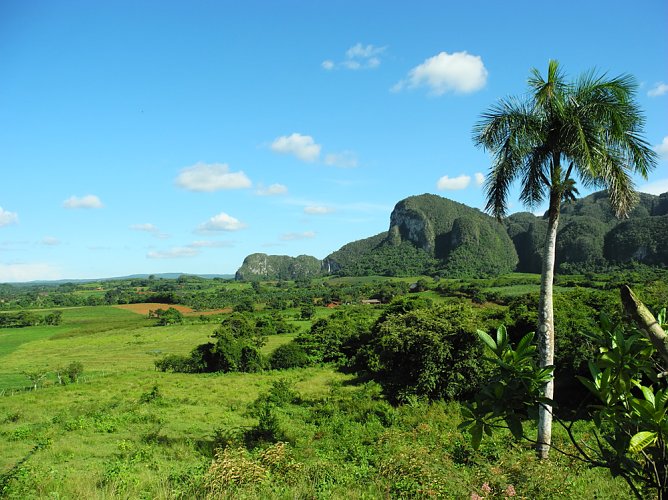 Kuba im Wandel - (Foto: Regionalmuseum Bad Frankenhausen)