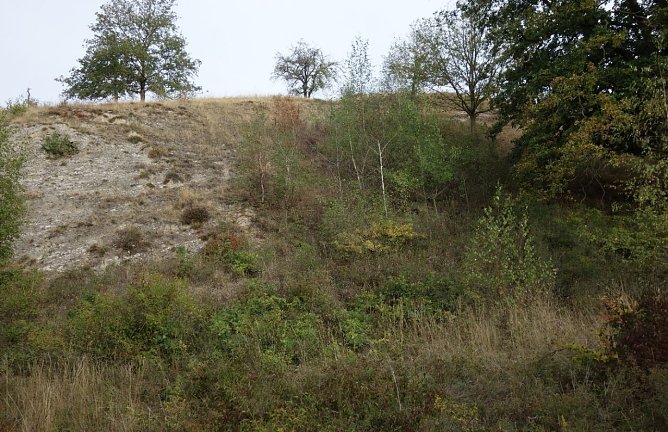 Kulturlandschaft am Kyffh&auml;user wird gepflegt (Foto: Landschaftspflegeverband)