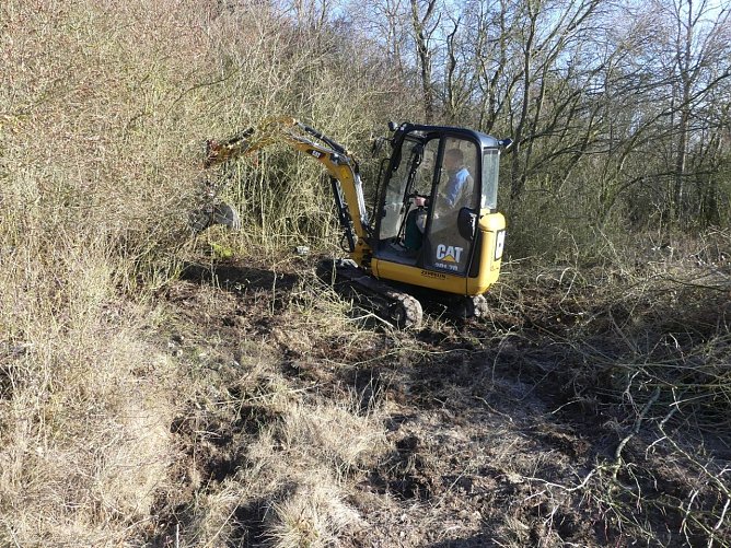 Kulturlandschaft am Kyffh&auml;user wird gepflegt (Foto: Landschaftspflegeverband)