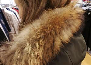 Die Jacke mit Echtpelzkragen der Marke Donnell enth&auml;lt keinen Hinweis darauf, dass sie echtes Fell enth&auml;lt. Dokumentiert bei AppelrathC&uuml;pper (Hamburg) (Foto: Vier Pfoten)