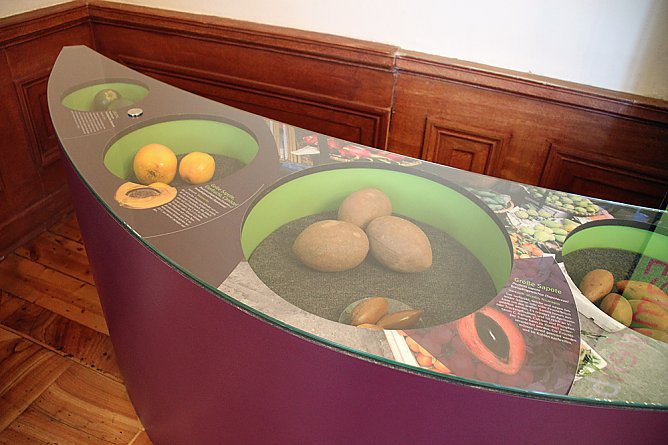 Die Tr&auml;nen der Mango (Foto: Karl-Heinz Herrmann)