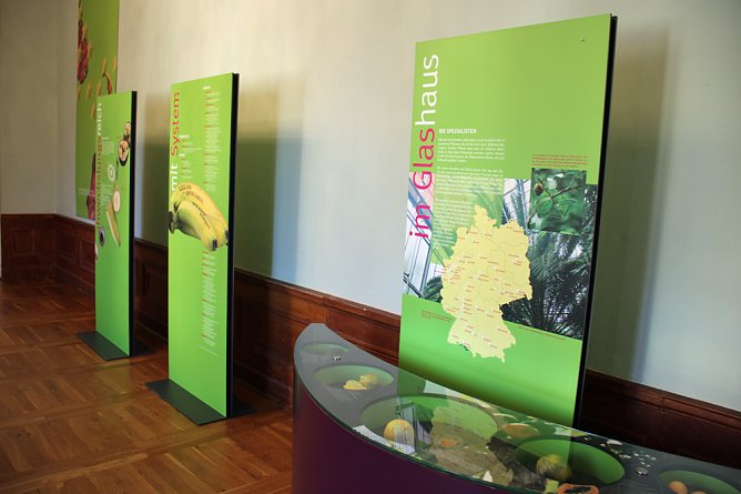 Die Tr&auml;nen der Mango (Foto: Karl-Heinz Herrmann)