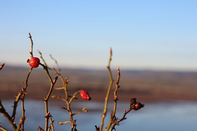 Wetterbild (Foto: Angelo Glashagel) Wetterbild (Foto: Angelo Glashagel)
