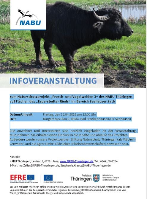 Frosch- und Vogelweiden 3 (Foto: Nabu)