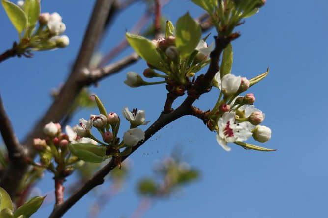 Wetterbild (Foto: Angelo Glashagel)