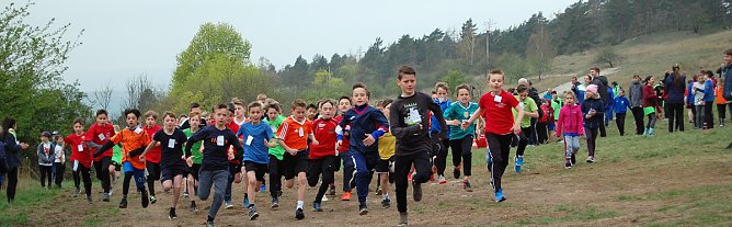 Gl&uuml;ckliche Sieger beim Crosslauf der Schulen (Foto: Annika Backhaus)