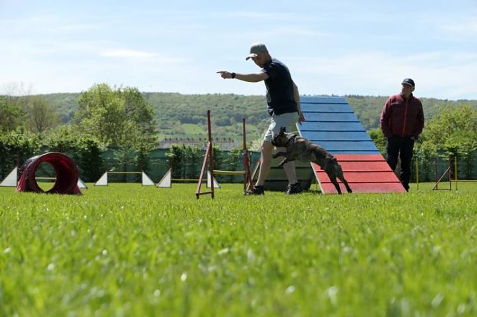 Agilityseminar mit Harry W. Mac Nelly (Foto: privat)