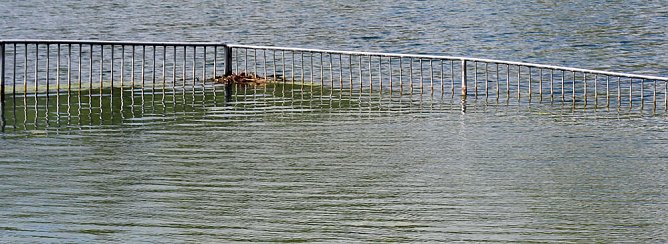 Anbaden am Bebraer Teich (Foto: Karl-Heinz Herrmann)