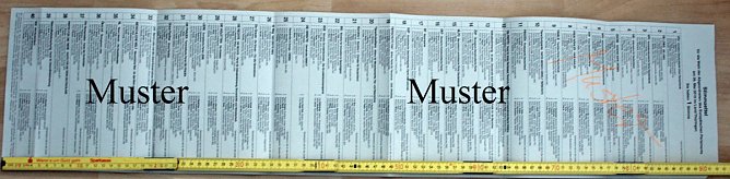 Spannender Wahlakt (Foto: Karl-Heinz Herrmann)