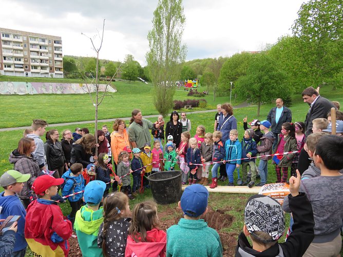 Baumfest am Freitag (Foto: Andreas Gothe)